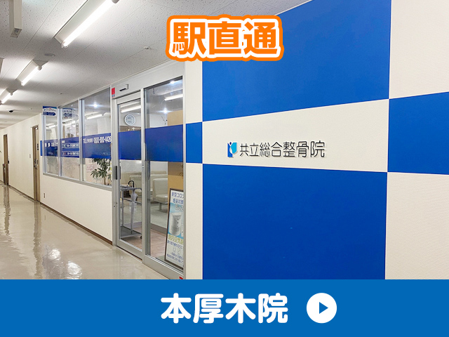 本厚木院